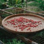 keunikan ayam geprek bensu serang di tengah persaingan kuliner
